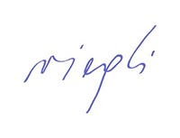 Viegli_logo